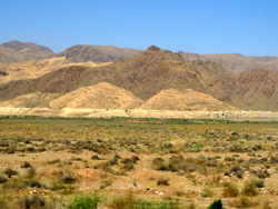 Iran View