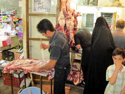 Iran View